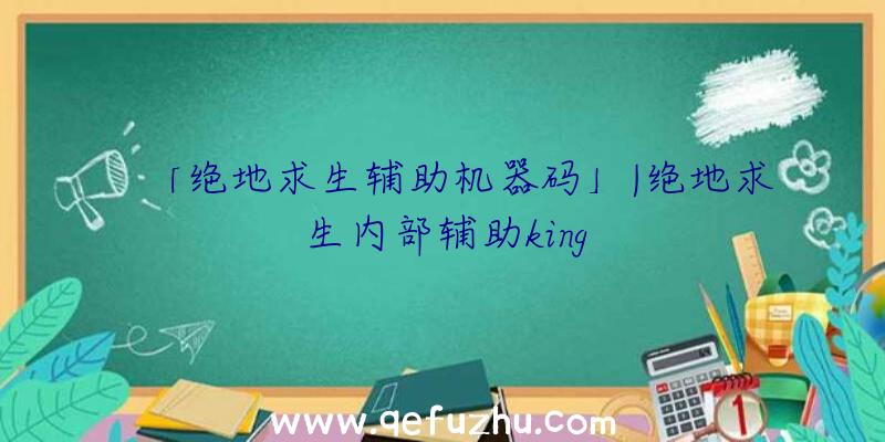 「绝地求生辅助机器码」|绝地求生内部辅助king